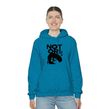 Load image into Gallery viewer, Notorious D.I.G. Heavy Blend™ Sweatshirts
